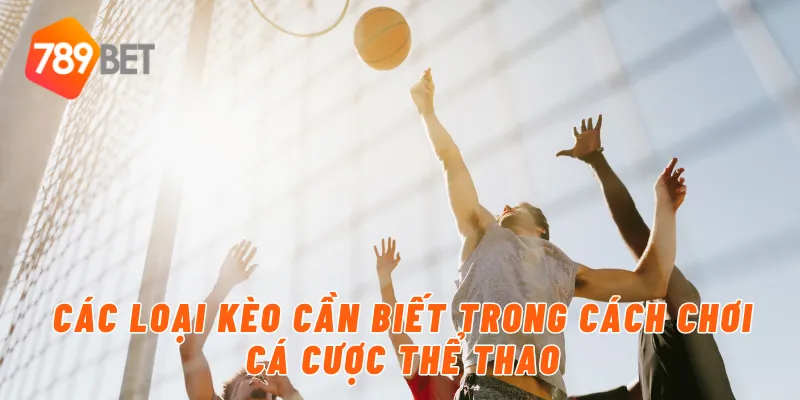Hướng Dẫn Cách Chơi Cá Cược Thể Thao An Toàn Tại 789BET 3 Các loại kèo cần biết trong cách chơi cá cược thể thao