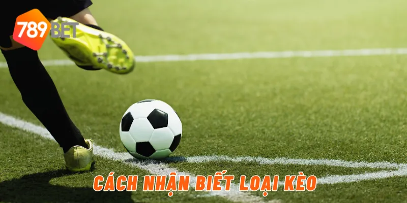 Kèo Dơ Là Gì? Cách Nhận Biết Kèo Dơ Chuẩn 789BET 3 Cách nhận biết loại kèo