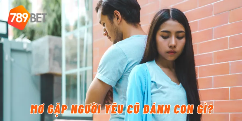 Giải Mã Giấc Mơ Gặp Người Yêu Cũ Cùng 789BET 4 Mơ gặp người yêu cũ đánh con gì?