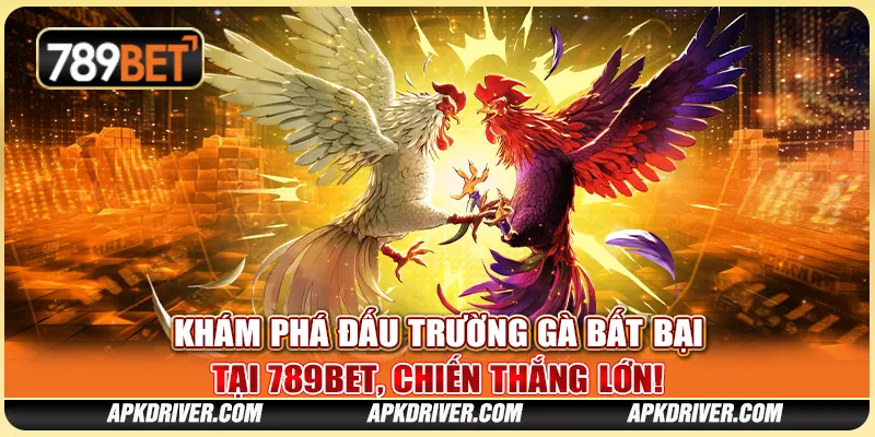 Khám Phá Đấu Trường Gà Bất Bại Tại 789BET, Chiến Thắng Lớn!