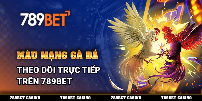 Màu Mạng Gà Đá, Theo Dõi Trực Tiếp Trên 789BET