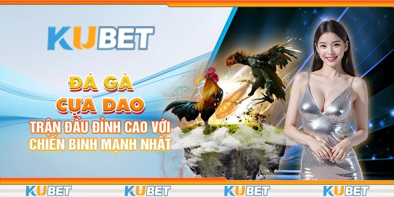 đá gà cựa dao