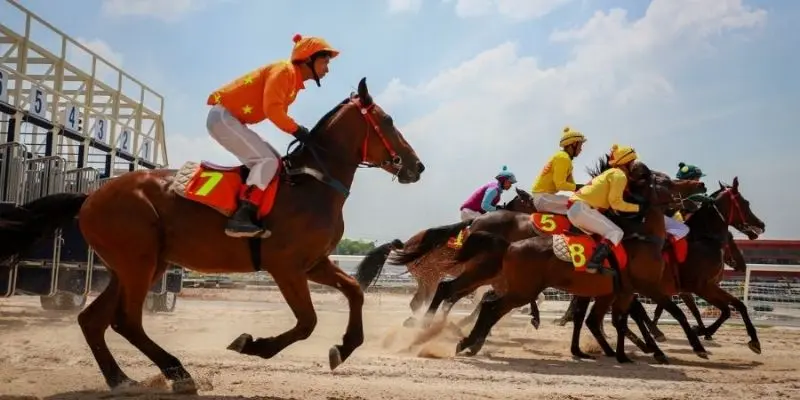 Mẹo Thắng Đua Ngựa - Chiến Thuật Chơi Hiệu Quả Nhất 4 Hiểu rõ từng loại cược và tỷ lệ trả thưởng