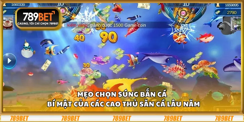 Mẹo chọn súng bắn cá – Bí mật của các cao thủ săn cá lâu năm